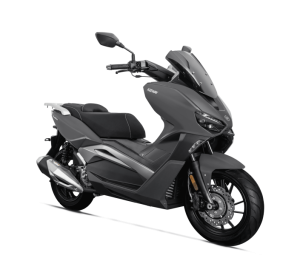 Vieste 300
