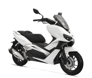 Vieste 300