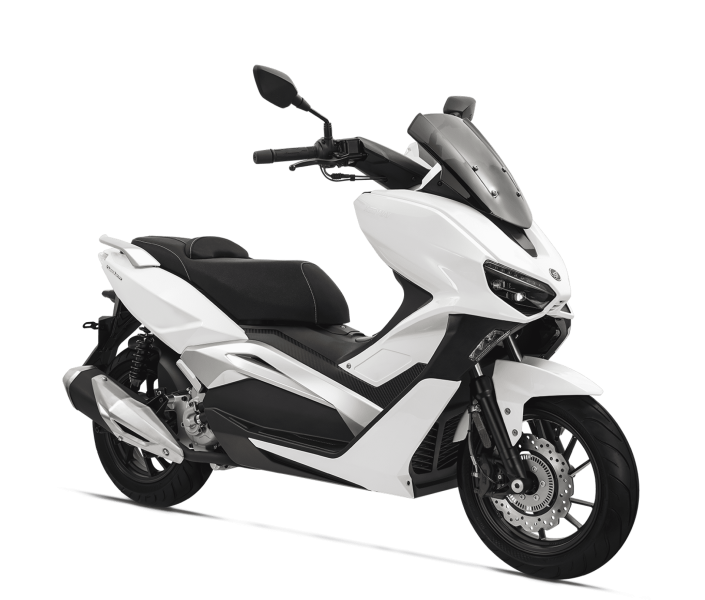 Vieste 300